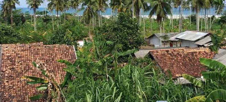 穆蒂亚拉萨瓦纳别墅(Villa Mutiara Sawarna)图片