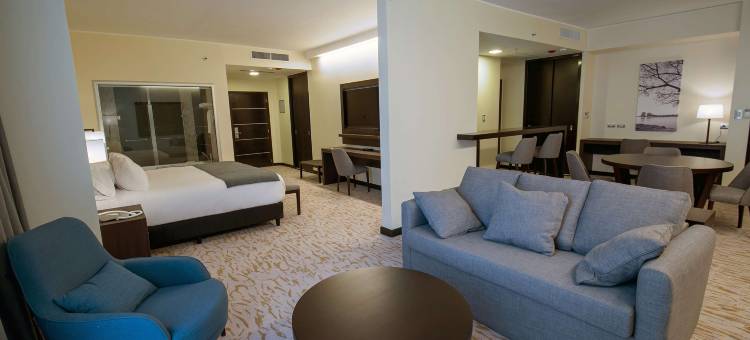 希尔顿花园酒店圣地亚哥-德尔埃斯特罗(Hilton Garden Inn Santiago del Estero)图片