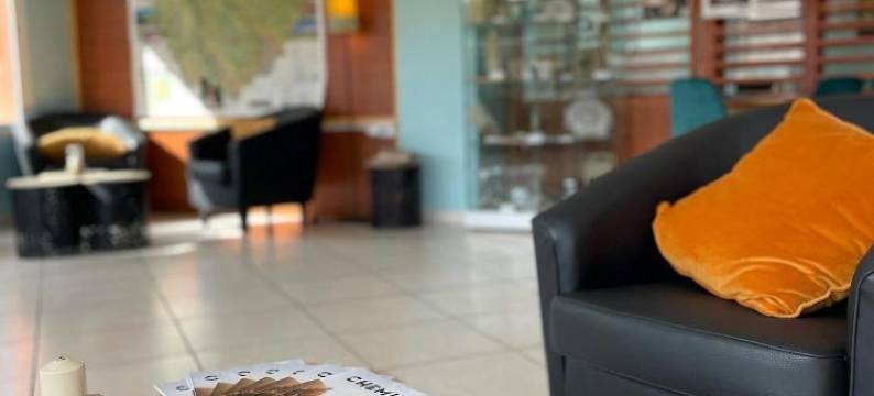 德尔图尔勒普恩维利吉利亚德直营酒店(Deltour Hotel le Puy En Velay)图片