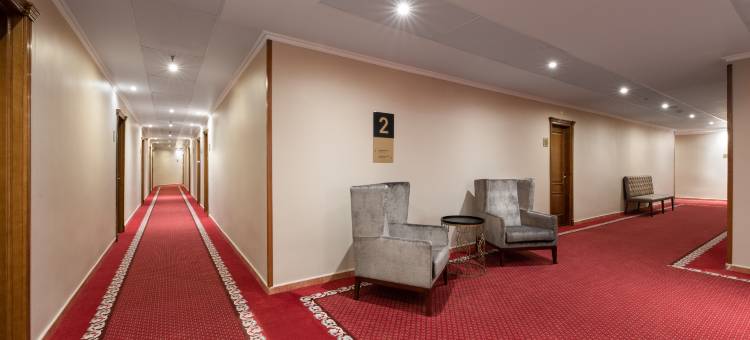 阿方索八世EXE酒店(Exe Alfonso VIII)图片