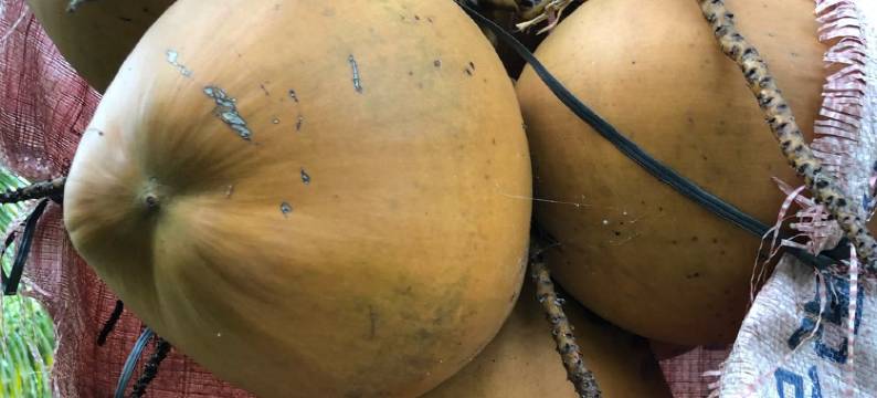 万宁友一佳客栈图片