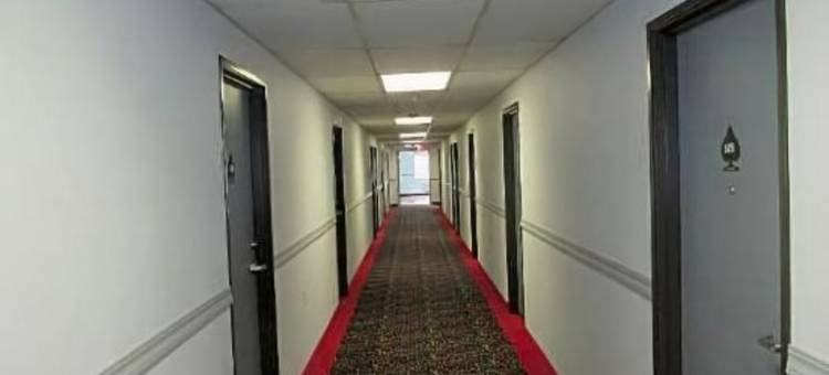 维加斯酒店(Americas Best Value Inn Billings)图片