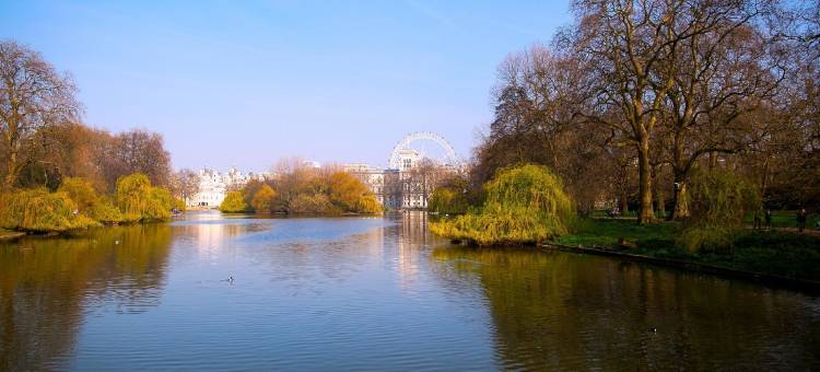 内斯特的沃里克(The Warwick By Nestor)图片