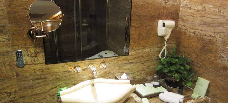 南宁迪拜七星酒店(金湖广场地铁站国际会展中心店)图片