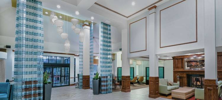 圣市机场希尔顿花园酒店(Hilton Garden Inn San Antonio Airport)图片