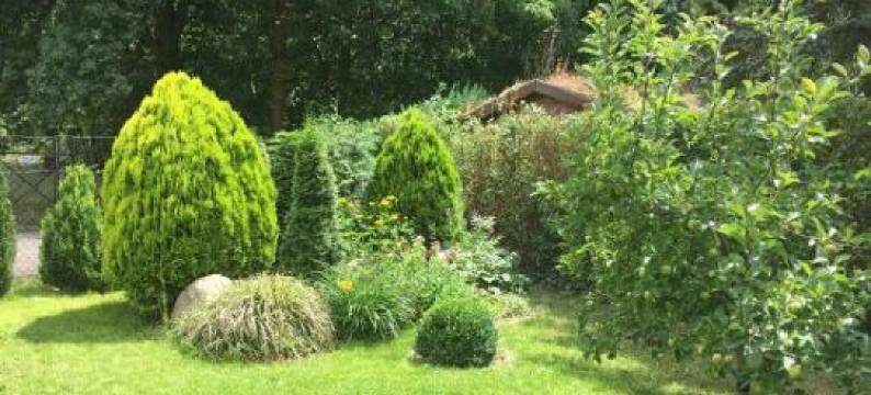 Holzhaus Trollblümchen am Wald Und See图片