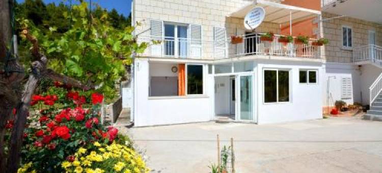 Apartments Bjanka图片