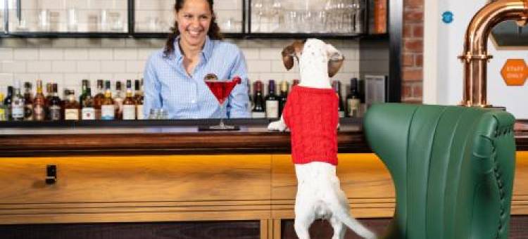 Ibis Bridgwater, M5 Jct23图片