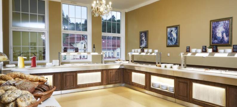 利比维达 Spa 度假村 - 勒斯尼萨蒂希酒店(Spa Resort Libverda - Hotel Lesní Zátiší)图片