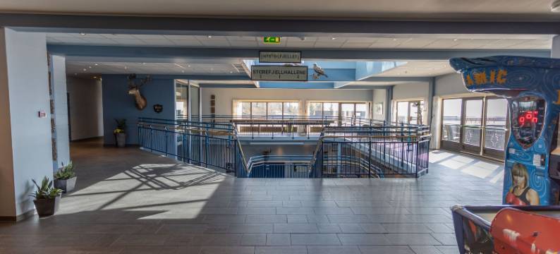 斯托耶尔度假村酒店(Storefjell Resort Hotel)图片