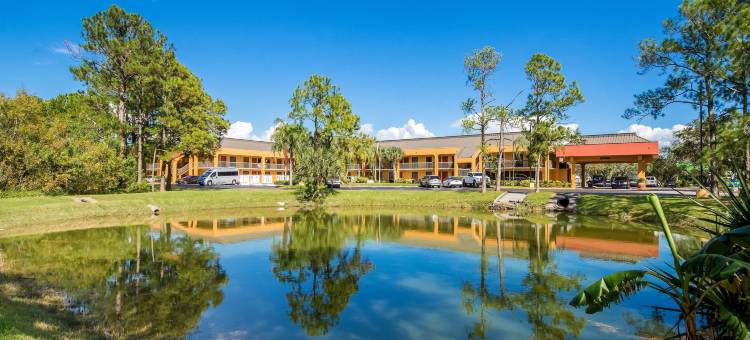 圣皮特清水机场贝斯特韦斯特SureStay酒店(SureStay Hotel by Best Western St. Pete Clearwater Airport)图片