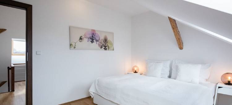 皮特洛恩公寓利贝雷茨酒店(Pytloun Apartments Liberec)图片