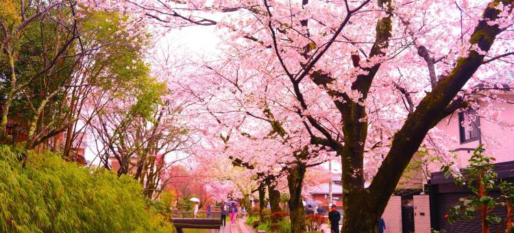 京都御池Four Points Flex by Sheraton酒店(Four Points Flex by Sheraton Kyoto Oike)图片