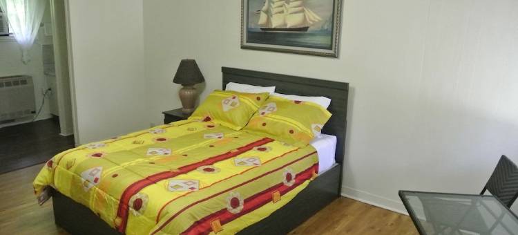金松汽车旅馆(Gold Pine Inn Motel)图片