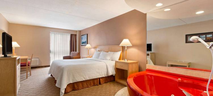 尼亚加拉瀑布附近戴斯酒店(Days Inn by Wyndham Niagara Falls Near the Falls)图片