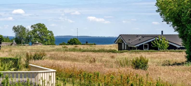 "Ela" - 500m from the Sea图片