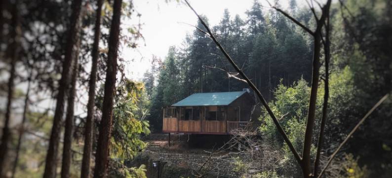 婺源半隐山居民宿(武长段分店)图片