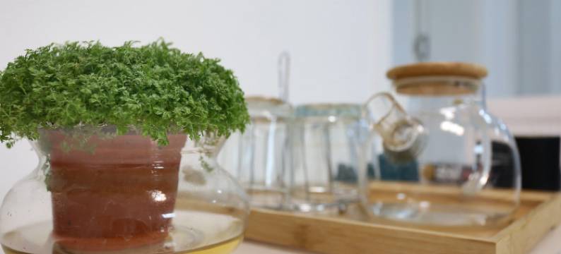 城东唐苑唐都医院地铁169号线民宿(纺渭路分店)图片