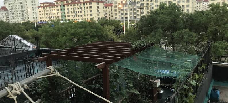 菊花顶一楼民居三室二厅(滨州南街分店)图片