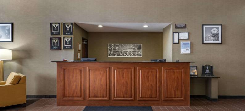 普莱森特希尔-得梅因舒眠酒店(Sleep Inn & Suites Pleasant Hill - des Moines)图片