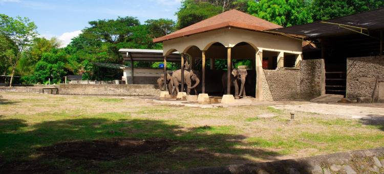 红门酒店清真-吉瓦岸汽车总站附近(Reddoorz Syariah Near Terminal Bus Giwangan)图片