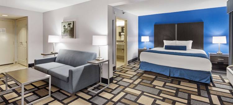 伯明翰贝斯特韦斯特优质套房酒店(Best Western Plus Birmingham Inn  Suites)图片