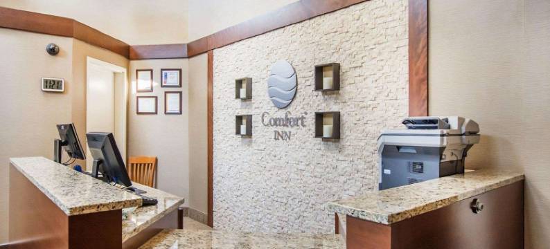 巴瑟斯特舒适酒店(Comfort Inn)图片