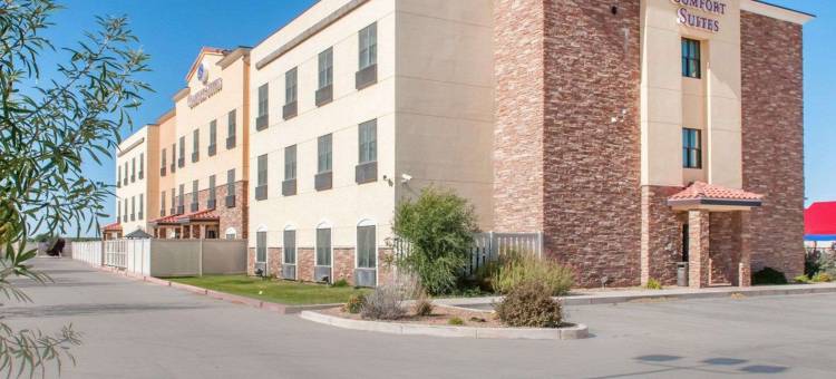 舒适套房酒店(Comfort Suites)图片