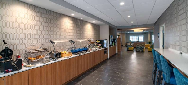 卡莱尔温德姆麦客达套房酒店(Microtel Inn & Suites by Wyndham Carlisle)图片