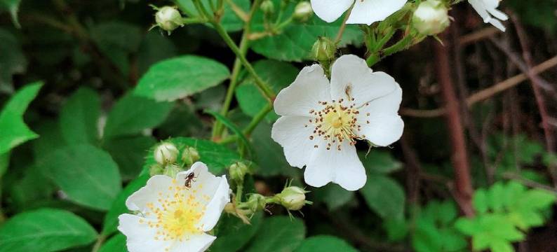 九水苹果家园公寓(贵州路分店)图片