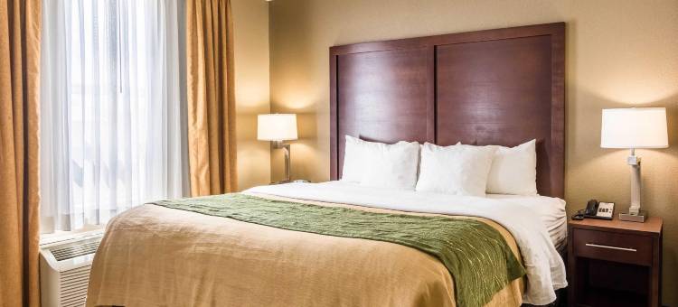 阿尔贝维尔US431凯艺酒店(Quality Inn Albertville US 431)图片