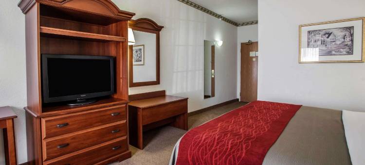 日内瓦西芝加哥舒适套房酒店(Comfort Inn & Suites Geneva- West Chicago)图片