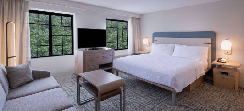 亚特兰大巴克海德希尔顿Homewood酒店(Homewood Suites by Hilton Atlanta Buckhead Pharr Road)图片