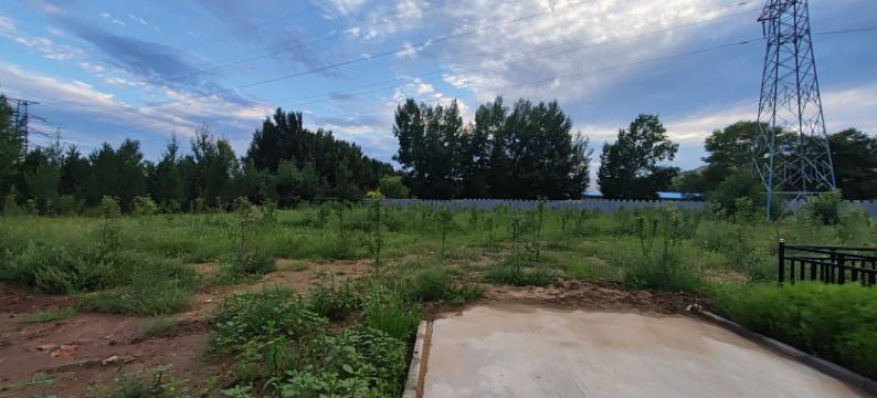 逸欣居民宿(光明街分店)图片