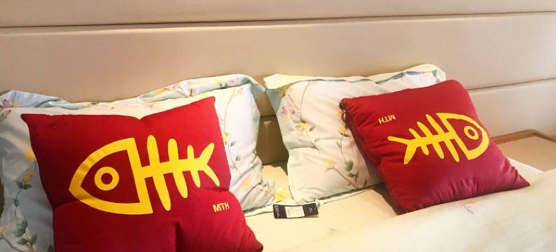 朱海燕HL公寓(红九线分店)图片