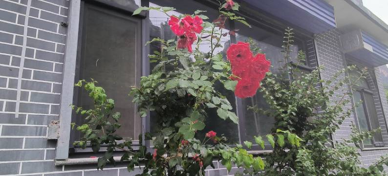 五福居民宿图片