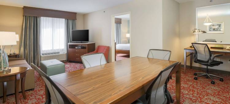 纳努特希尔顿花园酒店(Hilton Garden Inn Nanuet)图片