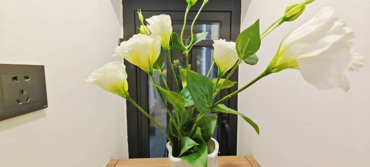 湛江云汐若民宿图片