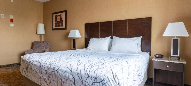 南埃德蒙顿贝斯特韦斯特优质套房酒店(Best Western Plus South Edmonton Inn  Suites)图片