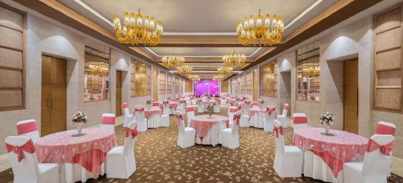 新德里德瓦卡丽笙酒店(Radisson Blu New Delhi Dwarka)图片