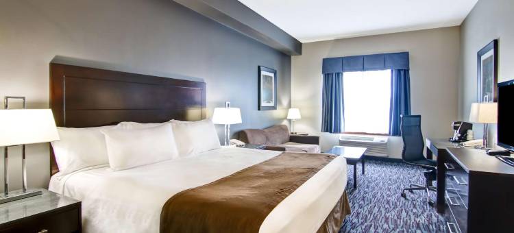 布兰顿贝斯特韦斯特优质酒店(Best Western Plus Brandon Inn)图片