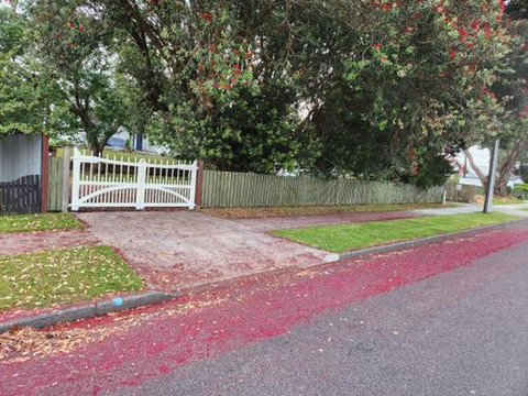 Quirky Villa Homestay