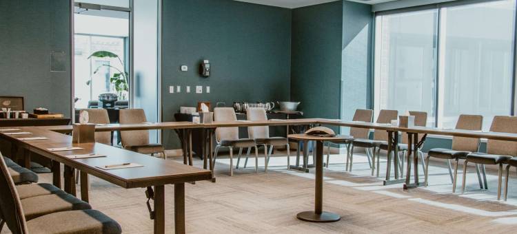 加拿大新不伦瑞克省弗雷德里克顿希尔顿花园酒店(Hilton Garden Inn Fredericton, New Brunswick)图片