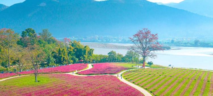 云南西安旅居公寓图片