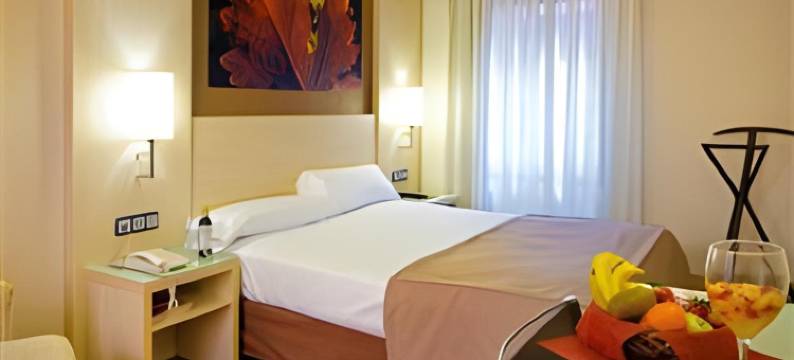 孔德斯代阿罗酒店(Hotel Condes de Haro)图片