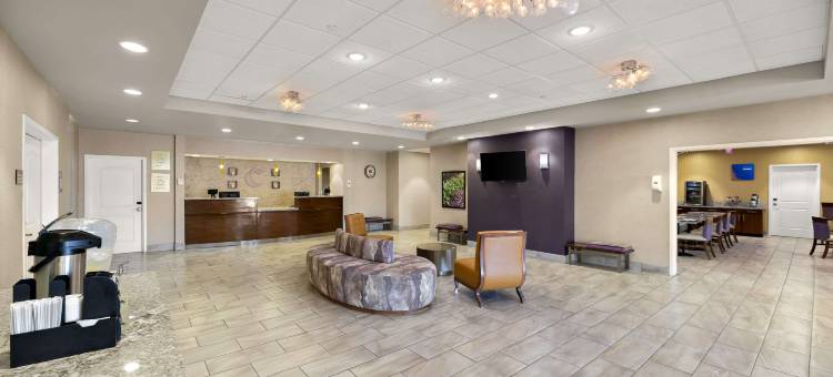 舒适套房酒店(Comfort Inn & Suites)图片