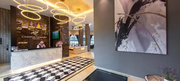 金马伦薰衣草豪宅玩耍酒店(Cameron Lavender Mansion)图片