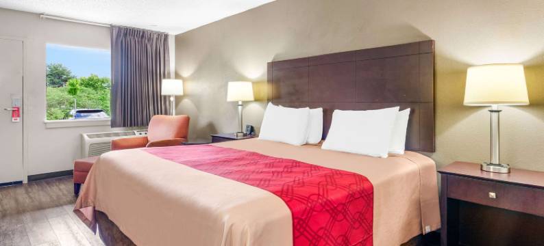 伊克诺旅馆(Brentwood Inn & Suites - Lynchburg)图片