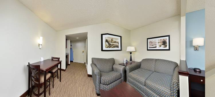 坦帕机场智选假日酒店(Holiday Inn Express & Suites Tampa Airport)图片