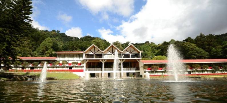 班比托法兰达精品酒店，Radisson Individuals 酒店成员(Hotel Bambito by Faranda Boutique, a Member of Radisson Individuals)图片